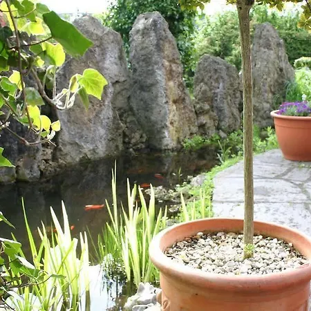 Zum Brauhaus Stralsund