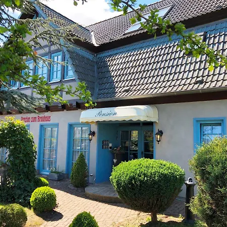 招待所 Zum Brauhaus 3*